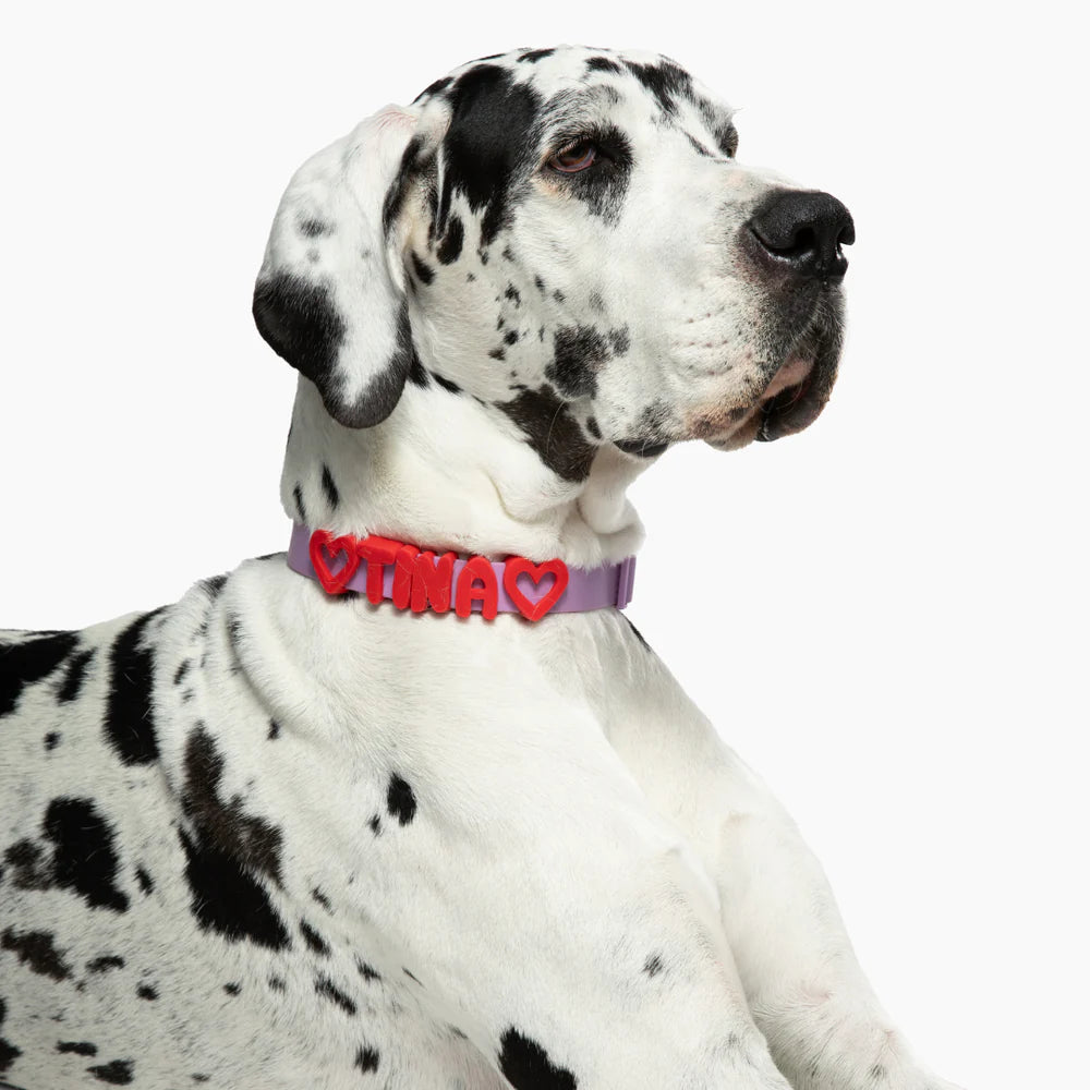 Collier Personnalisé Étanche avec Charms